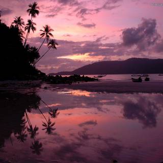 Sunrise wallpaper free