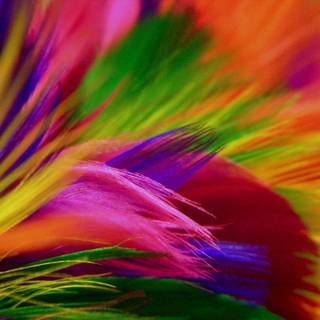 Colorful HD wallpaper