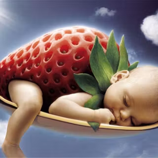 Funny love wallpaper