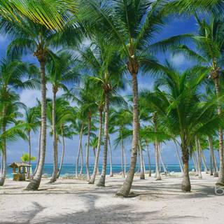 Bing wallpaper images