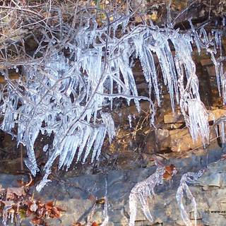 Free seasonal desktop backgrounds