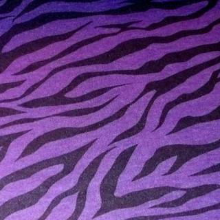 Purple wallpaper free