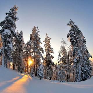 Winter wallpaper 1920x1080