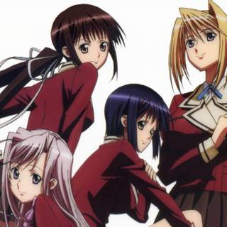 Princess lover wallpaper