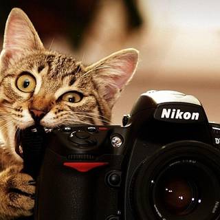 Wallpapers 1920x1080