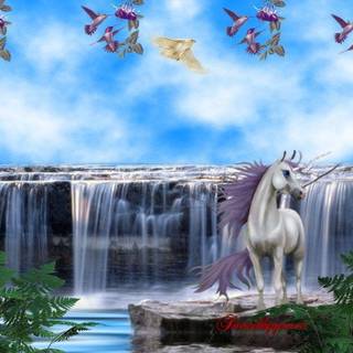 Unicorns wallpaper