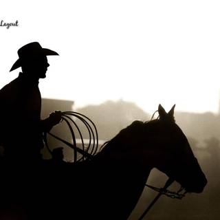 Hot cowboys wallpaper