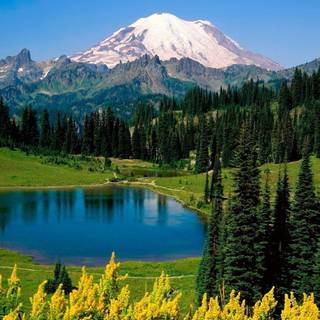 High definition wallpaper of nature