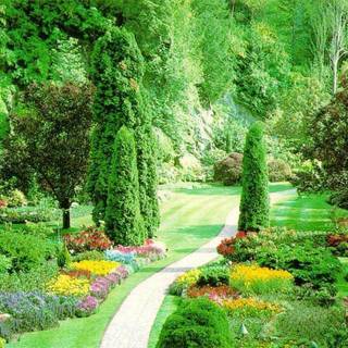 Desktop backgrounds images