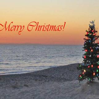 Tropical Christmas wallpaper