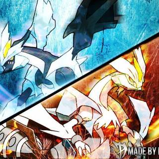 Pokemon white wallpaper