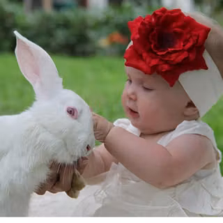 Penthouse pet wallpaper