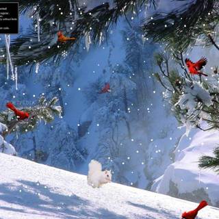 Winter wallpaper free