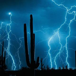 Live computer backgrounds