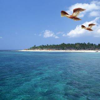 Free ocean wallpaper