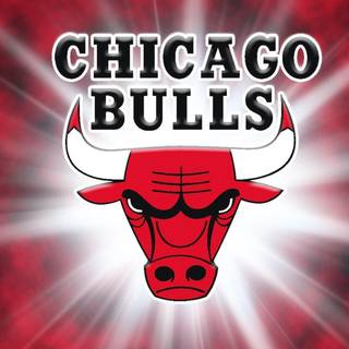 Bulls backgrounds