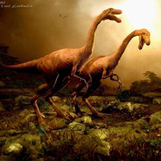 Jurassic Park wallpaper