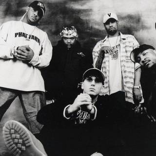 D12 wallpaper