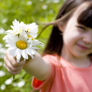 Free download girl images