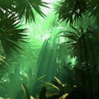 Jungle background