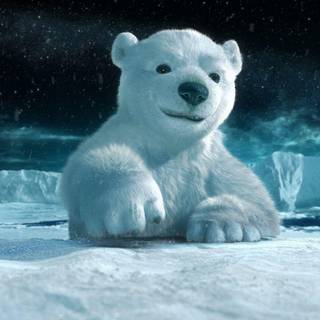 Picture HD wallpaper