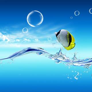 Professional desktop wallpaper