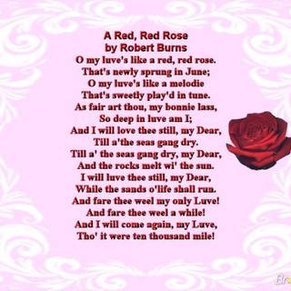 Red rose.com