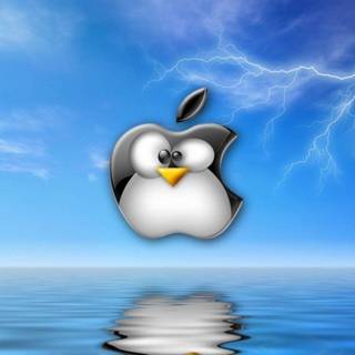 Linux desktop background