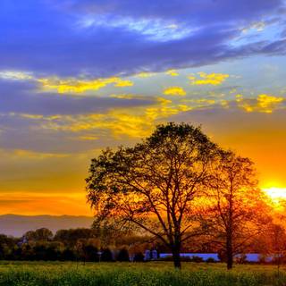 Summer computer backgrounds