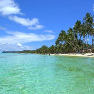 Wallpaper tropical beach