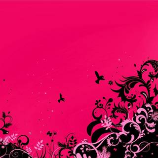 Pink HD wallpaper