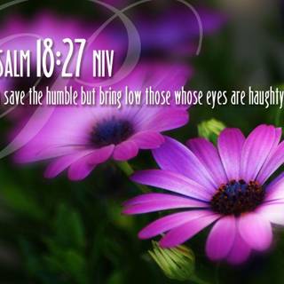 Bible verses backgrounds