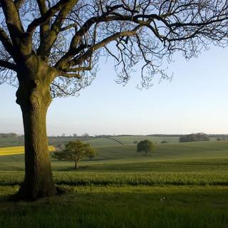 Countryside wallpaper