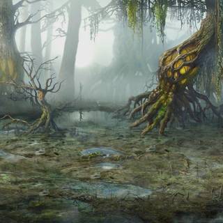 Swamp background