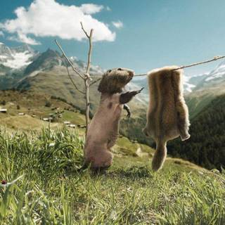 Very funny wallpaper