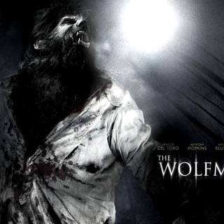 Wolfman wallpaper