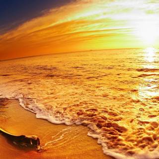 Sunset beach background