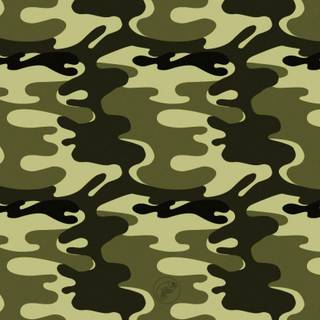 Camouflage backgrounds