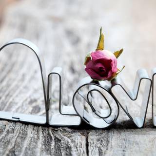 Wallpaper love wallpaper