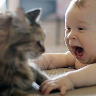 Funny baby pictures wallpaper
