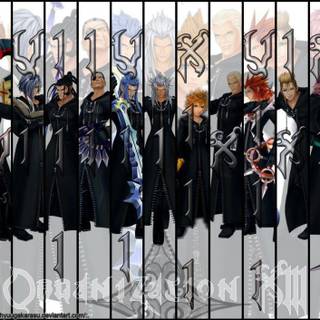 Organization 13 wallpaper