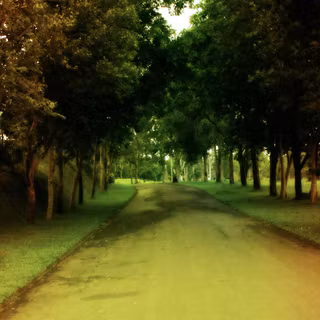 Background images of nature