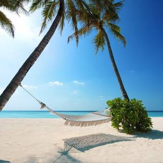 Paradise beach wallpaper