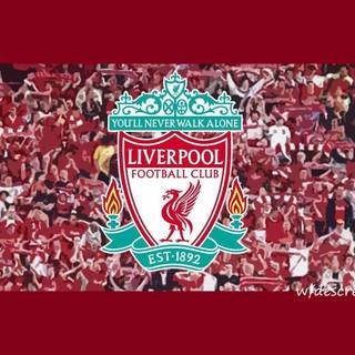 Liverpool fc logo wallpaper