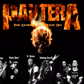 Pantera wallpaper