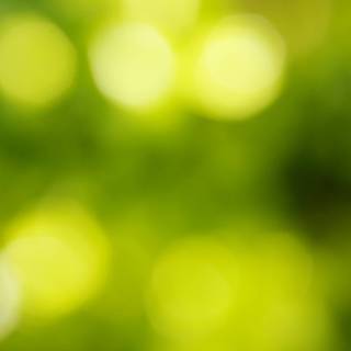 Beautiful background