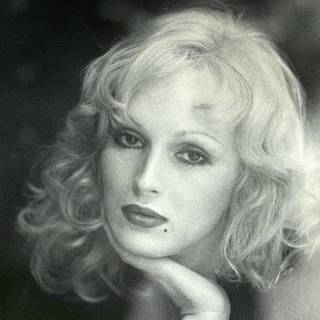 Transexual wallpaper