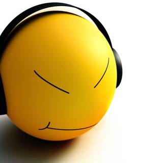 Funny wallpaper 1280x1024