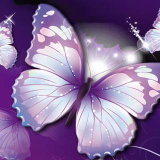 Free butterfly wallpaper