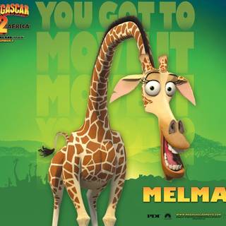 Madagascar 2 wallpaper